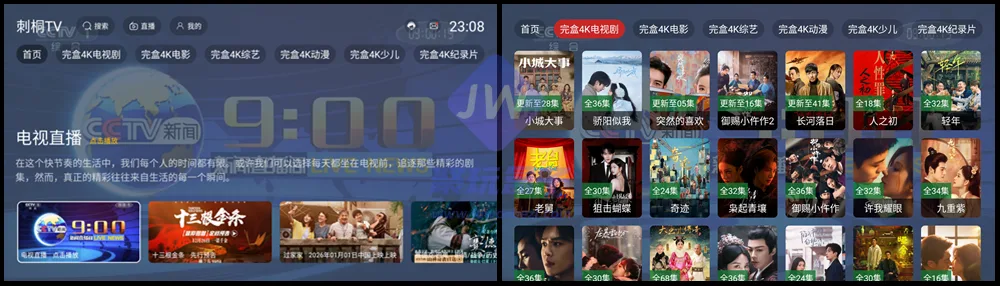 刺桐TV主界面