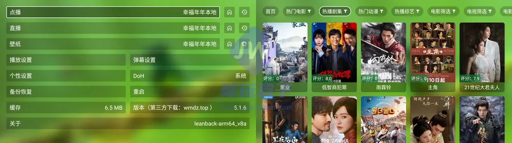 TV端功能