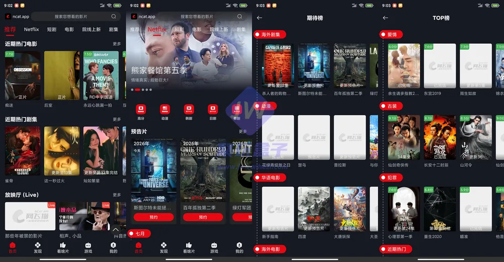 网飞猫界面